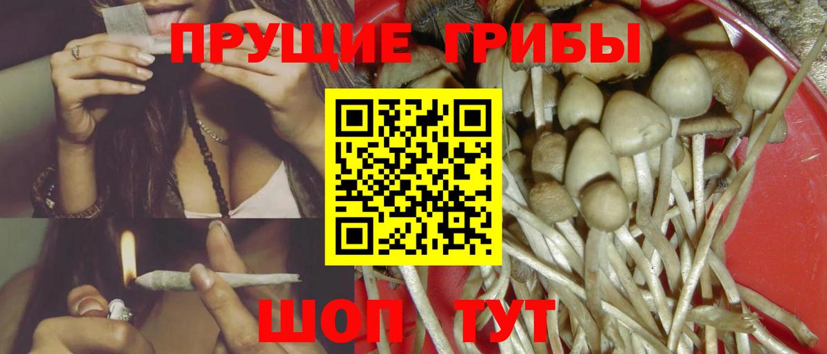 Псилоцибиновые грибы прущие грибы  Вход с VPN  Сарапул 